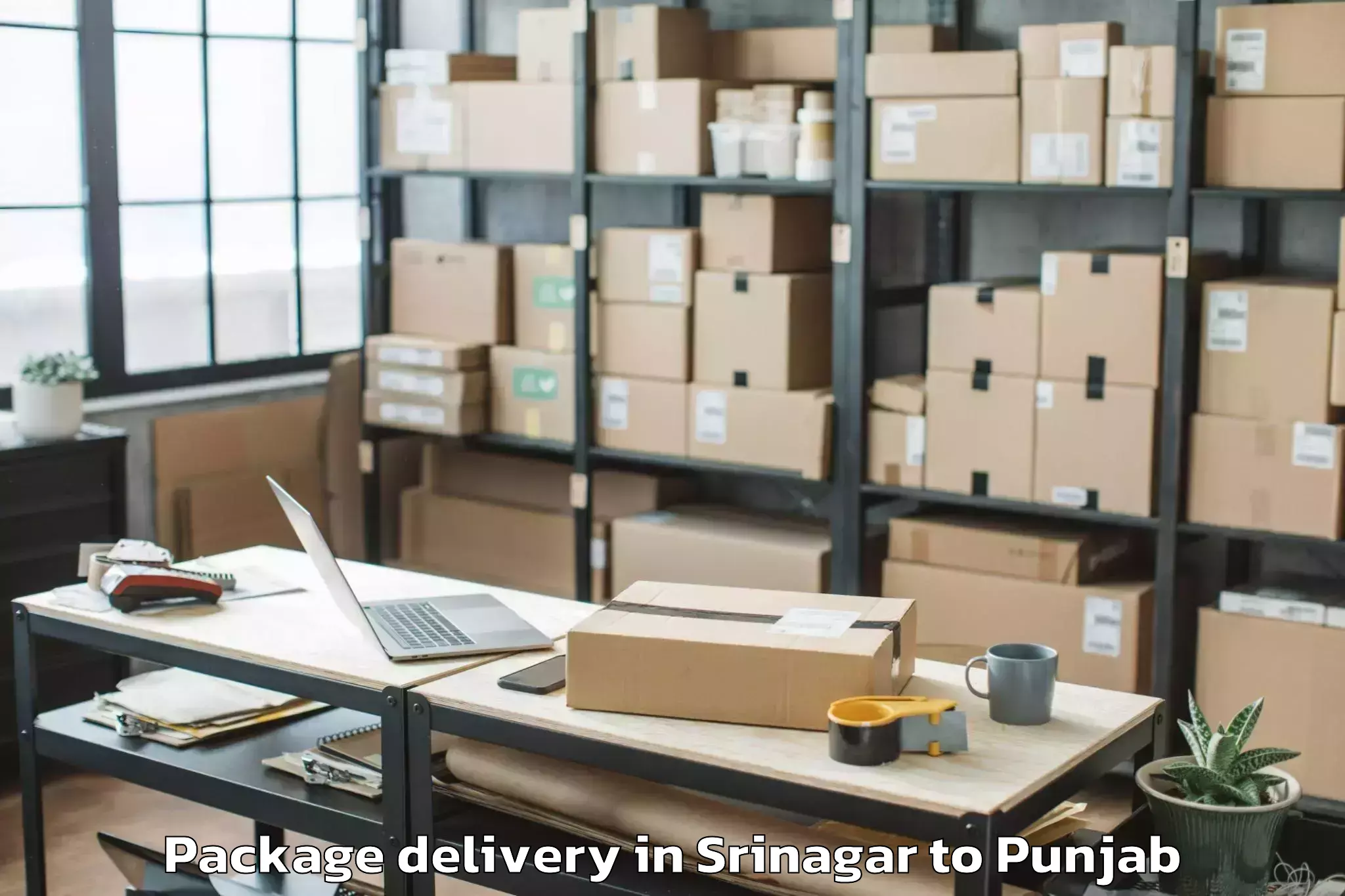 Efficient Srinagar to Dhariwal Package Delivery